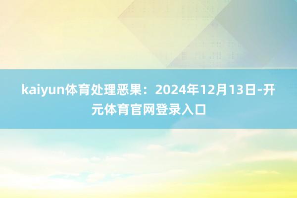 kaiyun体育处理恶果：2024年12月13日-开元体育官网登录入口