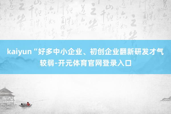 kaiyun“好多中小企业、初创企业翻新研发才气较弱-开元体育官网登录入口