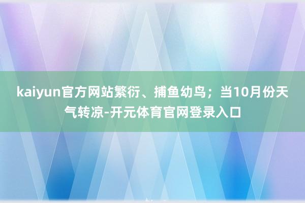 kaiyun官方网站繁衍、捕鱼幼鸟；当10月份天气转凉-开元体育官网登录入口